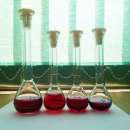 ����������� ����������� ������ ��� ������������� ����������