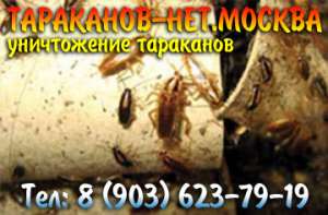 �����������. �����������, ������ ��������� ��� ������ � �����. - ����������� 1