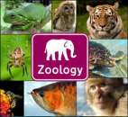 ����������� ����������� �������. ����� �������� - ������