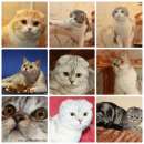 ������� � ����������: ����������� ����������� �������