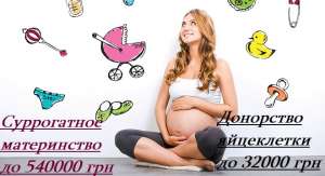 ����������� ����������� �������. ����� ���������� ���������. 100% �������������� - ����������� 1