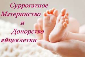 ����������� ����������� �������. ������ �� 540000 ��� - ����������� 1