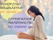 ������� � ����������: ����������� �����������. ���������, ������ 2019