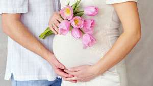 ����������� �����������. ��������� ����������. ����. ��������� � ����� - ����������� 1