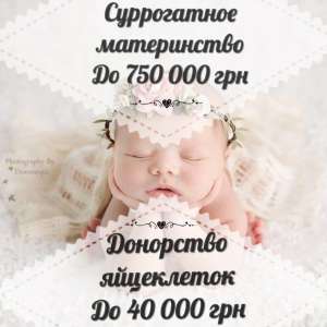 ����������� �����������, ��������� ����������, ����� ����������� ������� ����������� - ����������� 1