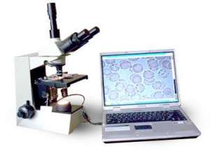 ����������� ����������� ��������� - ���������������� - ����������� 1