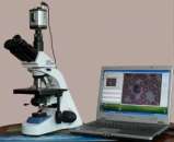 ����������� ����������� ��������� - ���������������� - ����������� 2