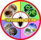 ������� � ����������: �����������, �����������, �����������, �����������, ������������ ���������.