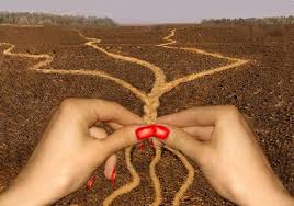 ����������� ������������ - ����������� 1