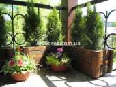 ����������� ������������ ������, ���������������� ������ ����������. - ����������� 3