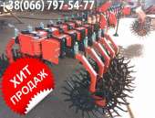 ����������� ������-������, �������� - ����������� 2