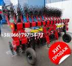 ����������� ������-������, �������� - ����������� 3