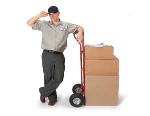 ����������� �������������� - ����������� 1