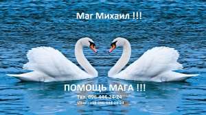 ��������,��� ����������,������� ������� ������� �������� �������, �������� �����, �������� �� ����, �����. ������� - ����������� 1