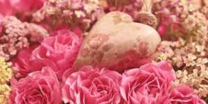 ������������ 300 ���. ���� �����. ������ ��� �� ���� ��������. ����� ����� - ����������� 1