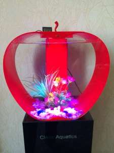 ����-�������� Cleair Apple - ����������� 1