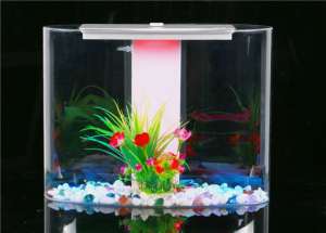 ����-�������� CLEAIR Ellipsoid - ����������� 1