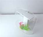 ����-�������� CLEAIR Ellipsoid - ����������� 2