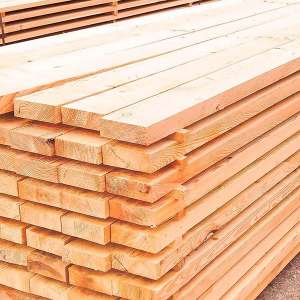 ������������ - ����������� 1