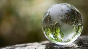 ������������ - ����������� 1