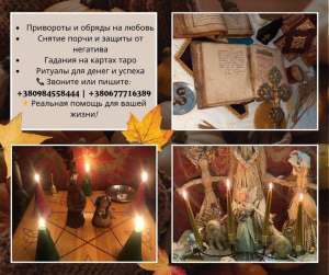 ������������ � �����. �������� �������� ����. ���������� ������ �� ����. - ����������� 1