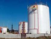 ������������ � ������ "��� ���� " ������������������: ������, ����������, �����, �������, �������. - ����������� 3