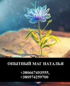 ������������ � ������. ������ � �������������. - ����������� 1