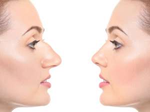 ������������ � ������ �������� � �. ���� - ����������� 1