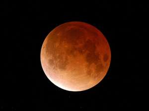 ������������ � ������� �� ������ ����. ����������. - ����������� 1