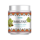 ������� � ����������: ������������ � ������� ��������