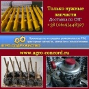 ������� � ����������: ������������ � �������� 2015 ��������, �/� �������