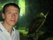 ������� � ����������: ������������ � ��������