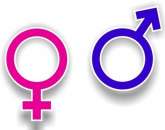 ������� � ����������: ������������ � ��������.