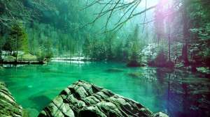 ������������ � �������� ��� ������ - ����������� 1