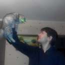 ������������ � �������� ��� ��������� ;) - ����������� 2