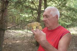 ������������ � �������� ��� ��������� ��������� - ����������� 1