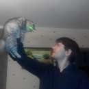 ������������ � ����������� �������� �� ������ ;) - ����������� 1