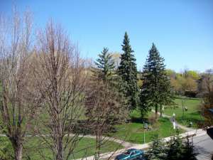 ������������ � ������.���������� ������������� 2011 ���� ��������� � ����� ������ ��������. - ����������� 1