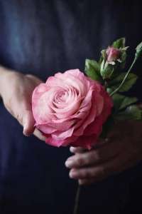 ������������ �� ����. ���� ���. - ����������� 1