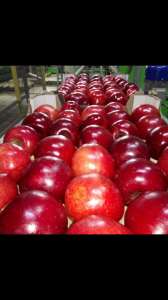 ������������ �� ���� ����� - ����������� 1