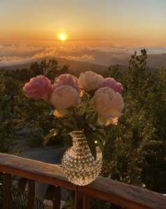 ������������ �� ������ ����, ��������� ������ - ����������� 1