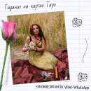 ������� � ����������: ������������ �� ������ ����. ���������� ������.