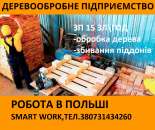 ������� � ����������: ������������ �� ��������