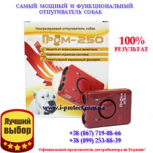 ������������ �� ����������� ����� ����-250 - ����������� 1