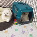 ������������ ��� - ����������� 1