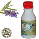 ������� � ����������: ������������ ��� ����� � ����