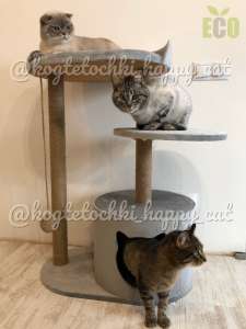 ������������ ��� ����� ��������. ������ ��� �����, ���������� - ����������� 1