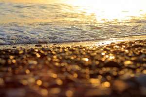 ������������. ��� ������� - ����������� 1