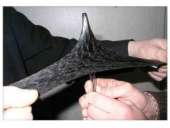 ������� � ����������: ������������ ��� ��������� ������ ������ �� �������������