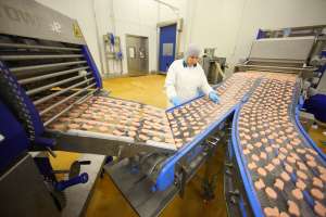 ������������ ��� ������������ �������������� - ����������� 1